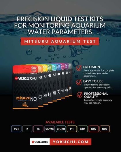 Yokuchi Mitsuru Aquarium Test NO3