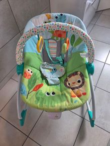 Baby Bouncer