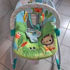 Baby Bouncer