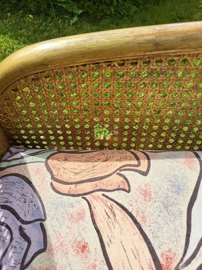 vintage arm chairs 2x