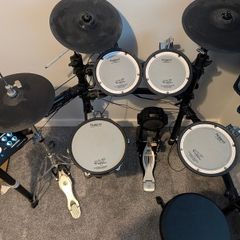 Roland TD-25