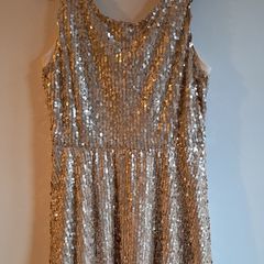 Champagne Sequin Party Dress BNWT Size 18