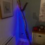 Driftwood with LED Image 3