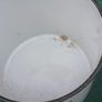 Vintage Enamel Pots Image 5