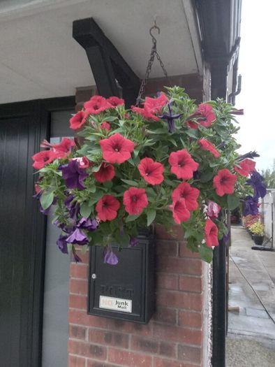 flowers all for sell
