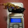 Risis 24 K plated Golden Horse Figurine  from Singapore. Perfect condition!Without box!RARE!!! Image 5