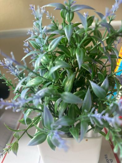 artificial plant