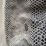 bag Image 5