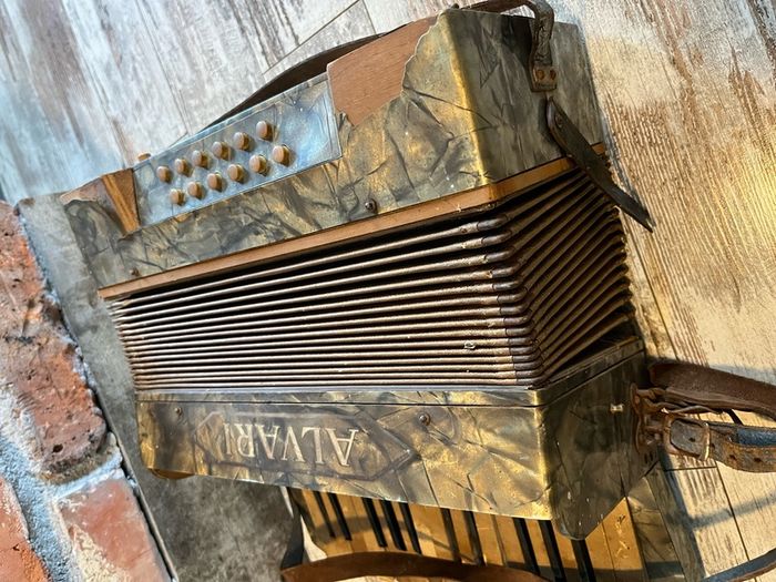vintage Accordion