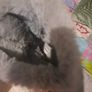 Grey river island boots Image 6