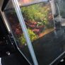 Small Fish tank Image 3