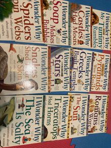 I Wonder Why childrens science books set