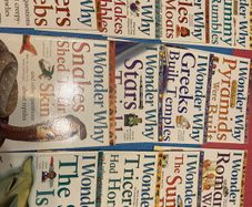 I Wonder Why childrens science books set