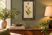 Original Elizabeth A. McEwen RUA - Tulips - Botanical Watercolour