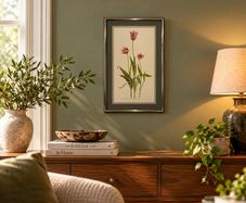 Original Elizabeth A. McEwen RUA - Tulips - Botanical Watercolour