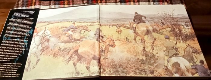 2003. Tipperary. The People. The Horses. The Hounds.