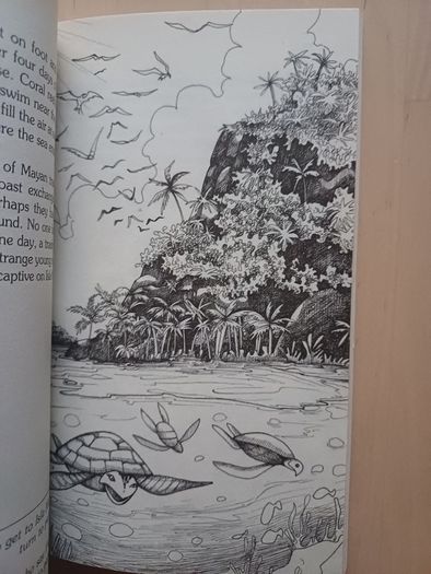 Choose Your Own Adventure by R.A. Montgomery (Illustrated Fantasy Retro Game Books 2005 NEW)