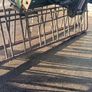 Sheep creep gates Image 2