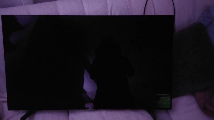 42 inch LG OLED TV (parts)
