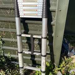 telescopic ladder