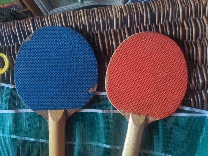 Table tennis bats and net