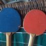 Table tennis bats and net Image 3