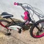 Bike Image 2
