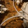 hob rings Image 5