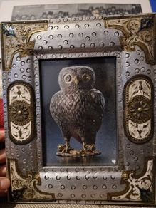 Owl picture in ornate frame