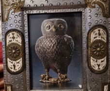 Owl picture in ornate frame