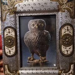 Owl picture in ornate frame