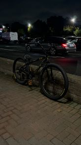 Collective c3 wheelie bike
