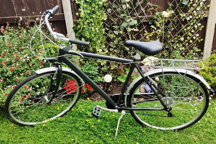 men's bike