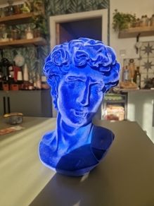 Velvet statue velvet heads