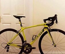 Giant Tcr Sl