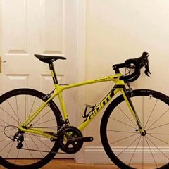 Giant Tcr Sl