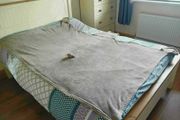 Blanket with Hoodie and Hand Pockets