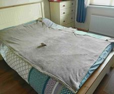 Blanket with Hoodie and Hand Pockets