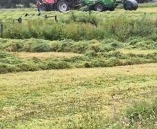 Silage bales