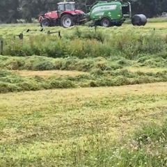 Silage bales