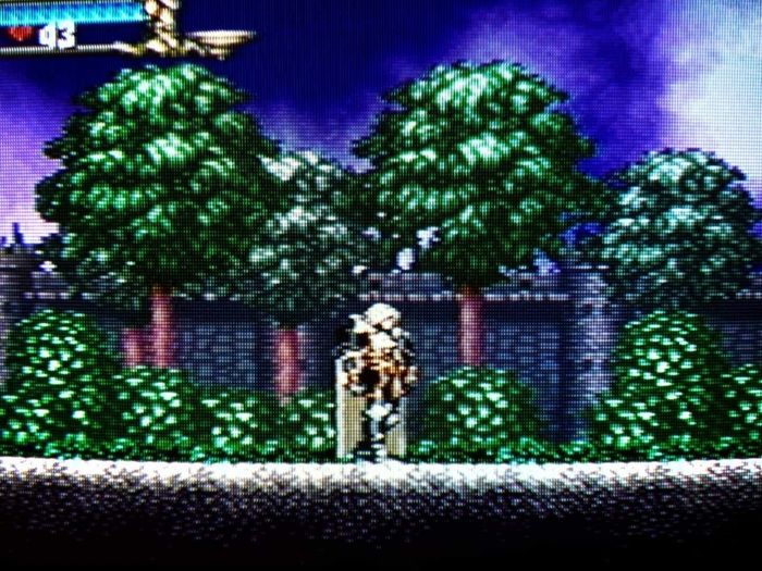 Castlevania Symphony of the Night Collectors Edition