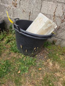 plant pot