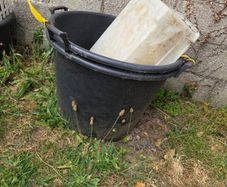 plant pot