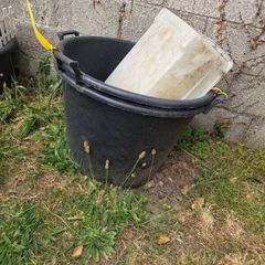 plant pot