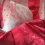bra Bnwt aerie brand American  Eagle  36c Image 6