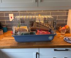 hamster cage