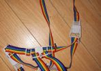 Walking Rein and Harness
