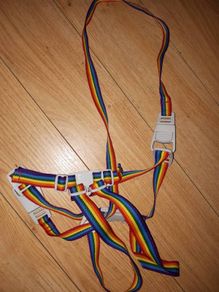 Walking Rein and Harness