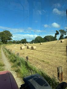 Quality hay in field