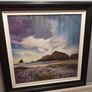 Large Picture Image 2